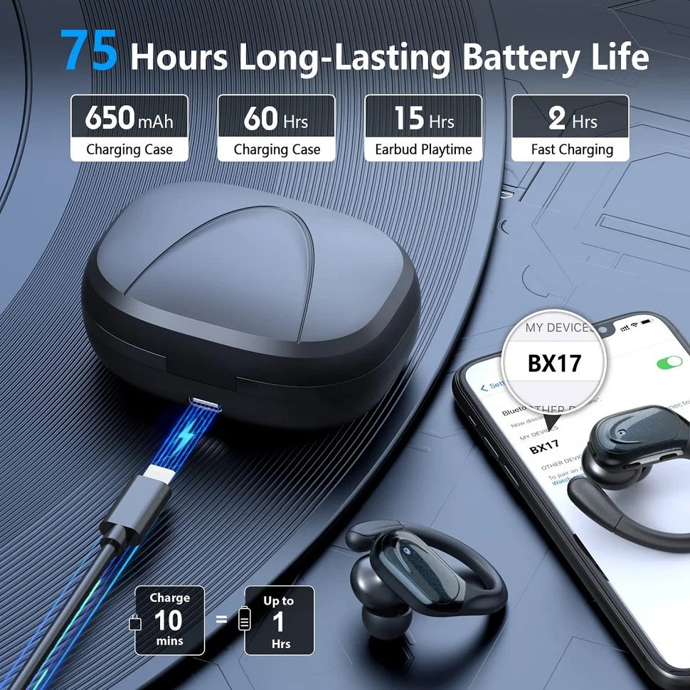 Bluetooth 5.3 True Wireless Earphones with Earhooks
